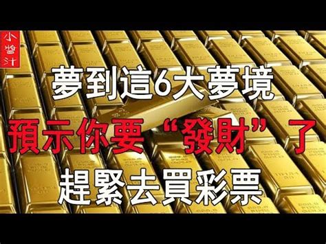 夢見龍龜|【夢見龍龜】龍龜現形夢啟示！周公解謎，助你掌握人生先機